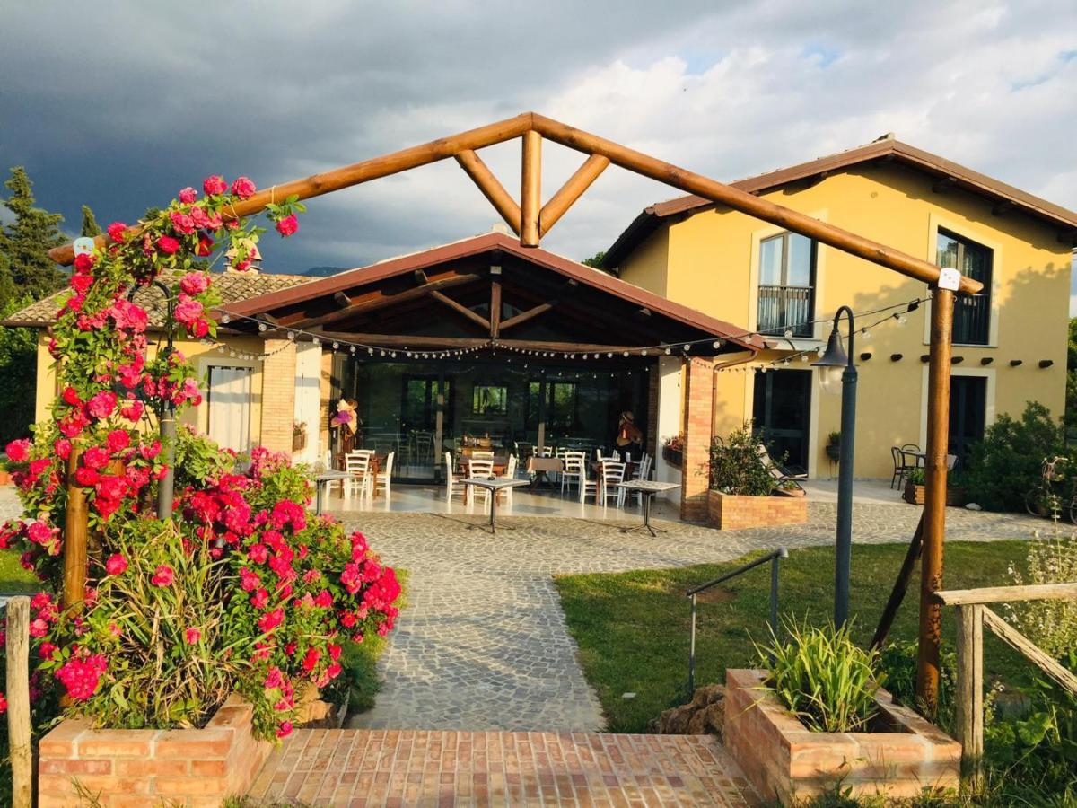 Country House Erba Regina Frascati Extérieur photo